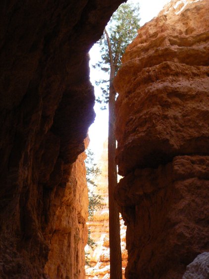 Bryce Canyon