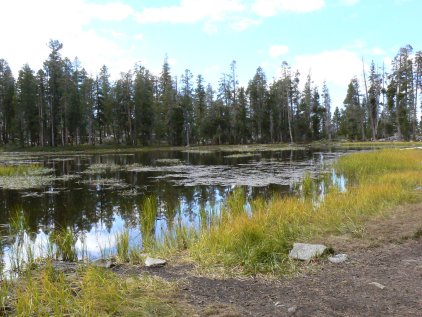 Siesta Lake