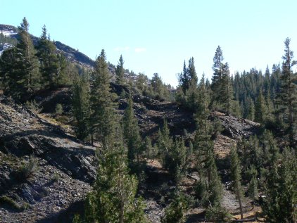 Tioga Pass