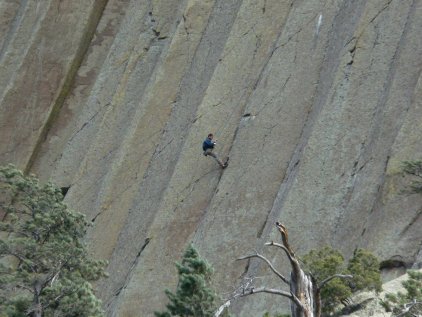 Devil's Tower